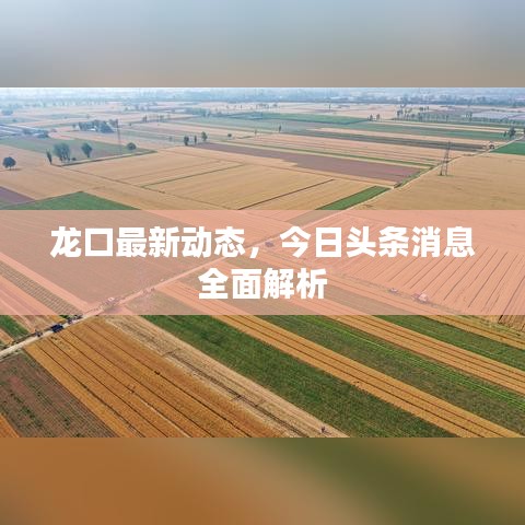 龙口最新动态，今日头条消息全面解析