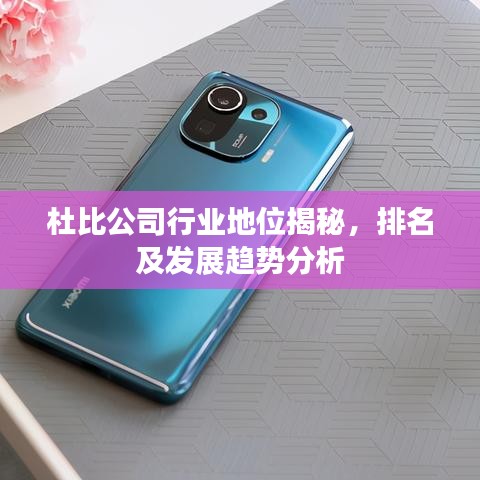 杜比公司行业地位揭秘，排名及发展趋势分析
