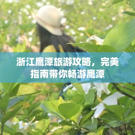 浙江鹰潭旅游攻略，完美指南带你畅游鹰潭