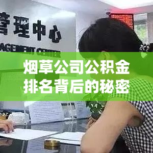 烟草公司公积金排名背后的秘密大揭秘！