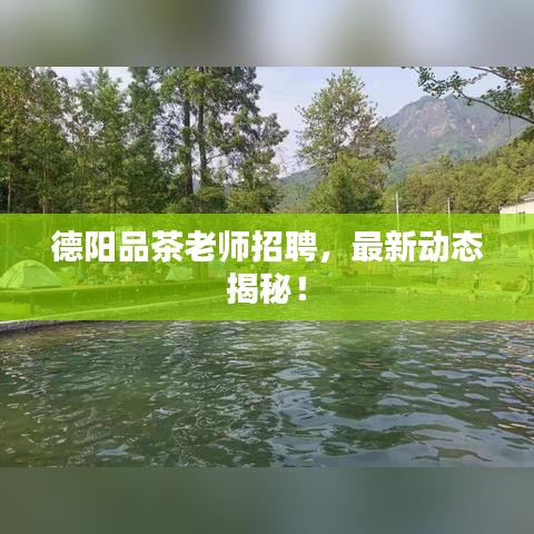 2025年5月1日 第35页