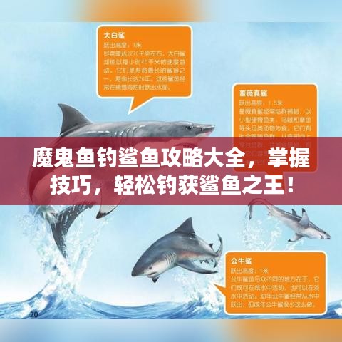 魔鬼鱼钓鲨鱼攻略大全，掌握技巧，轻松钓获鲨鱼之王！