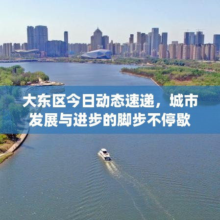 大东区今日动态速递，城市发展与进步的脚步不停歇