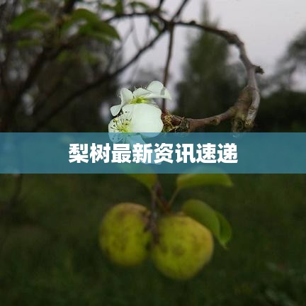 贵出贱收 第2页