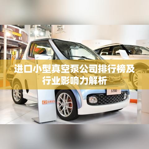 进口小型真空泵公司排行榜及行业影响力解析