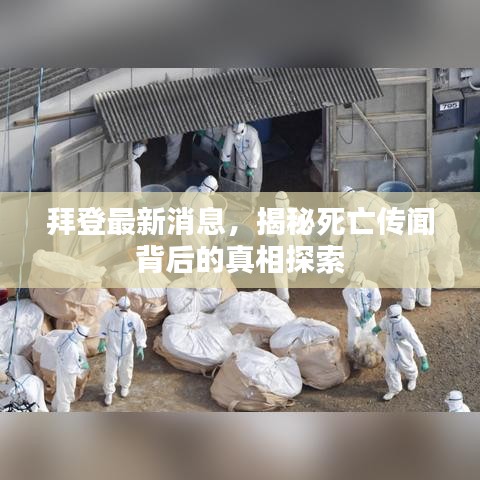 拜登最新消息，揭秘死亡传闻背后的真相探索