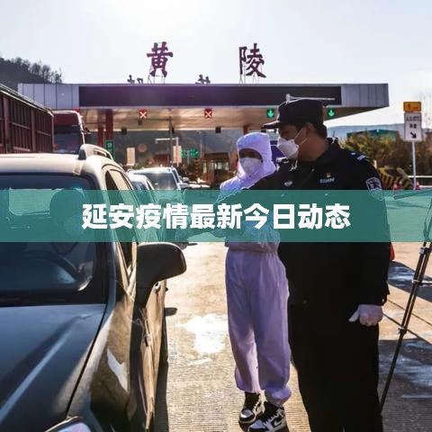 延安疫情最新今日动态