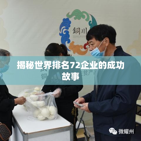 揭秘世界排名72企业的成功故事