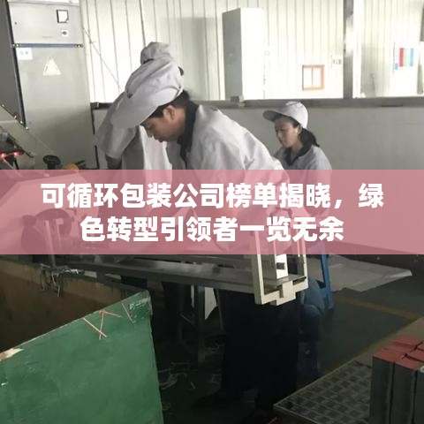 可循环包装公司榜单揭晓，绿色转型引领者一览无余