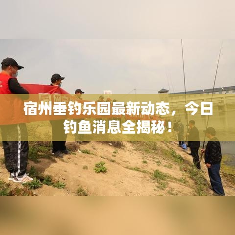 宿州垂钓乐园最新动态，今日钓鱼消息全揭秘！