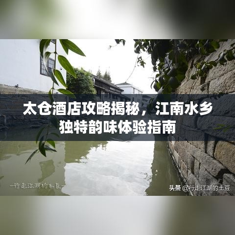 夯雀儿先飞