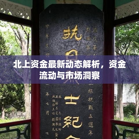 北上资金最新动态解析，资金流动与市场洞察