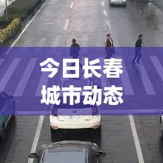 张王李赵
