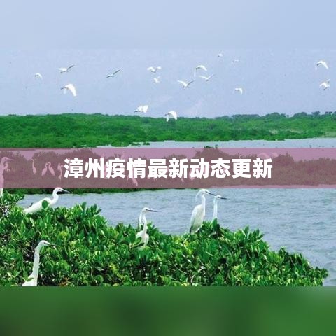 2025年5月3日 第2页