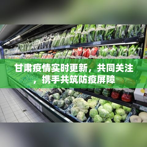 甘肃疫情实时更新，共同关注，携手共筑防疫屏障