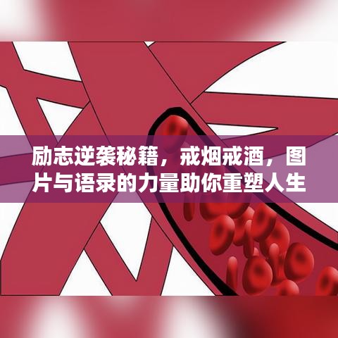 励志逆袭秘籍，戒烟戒酒，图片与语录的力量助你重塑人生！