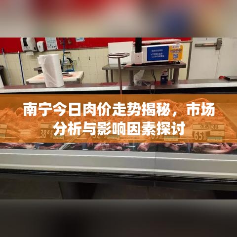 南宁今日肉价走势揭秘，市场分析与影响因素探讨