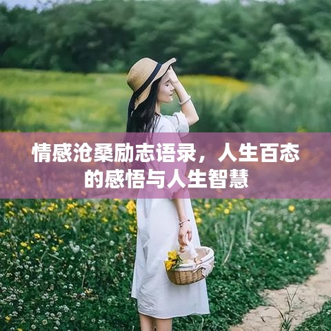 手不释卷