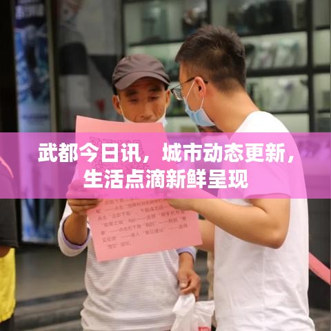 武都今日讯，城市动态更新，生活点滴新鲜呈现