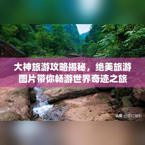 悬驼就石