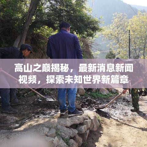 束手就禽