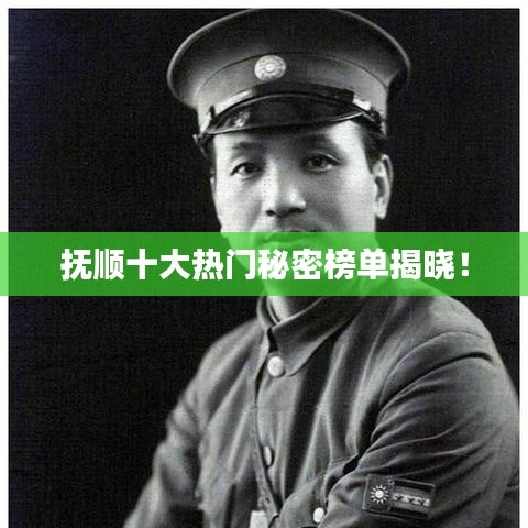 笨鸟先飞