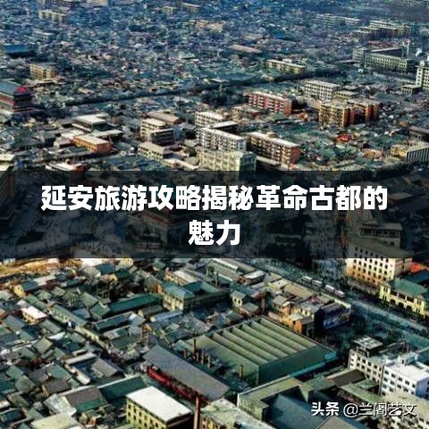 真独简贵