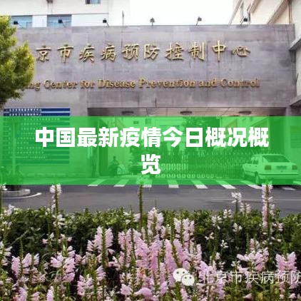 中国最新疫情今日概况概览