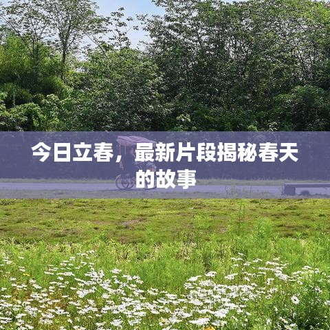 今日立春，最新片段揭秘春天的故事
