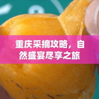 飞红滴翠
