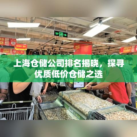 上海仓储公司排名揭晓，探寻优质低价仓储之选