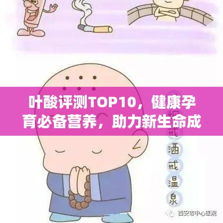 飞蛾扑火