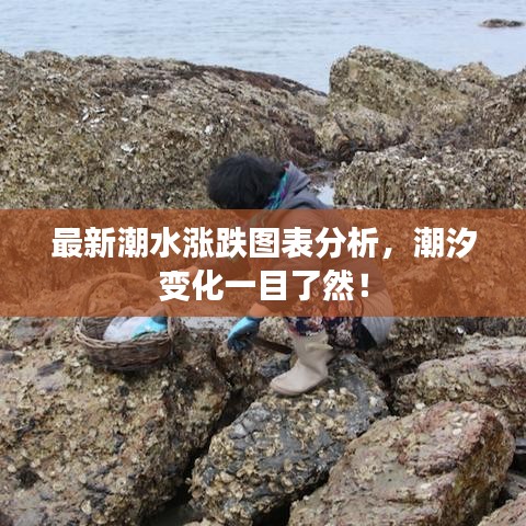 最新潮水涨跌图表分析，潮汐变化一目了然！