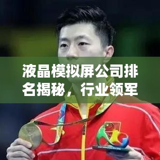 液晶模拟屏公司排名揭秘，行业领军者全览！