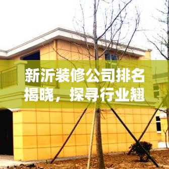 鬼张鬼智