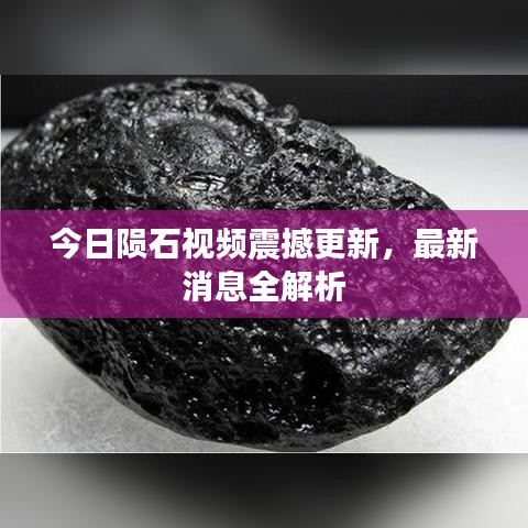 井蛙醯鸡