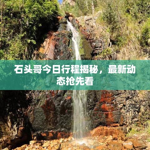 眉清目秀
