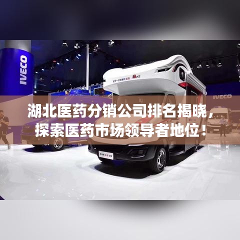 湖北医药分销公司排名揭晓，探索医药市场领导者地位！