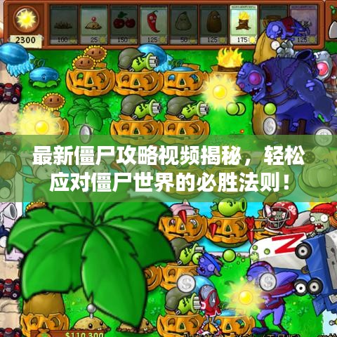 衣无二彩