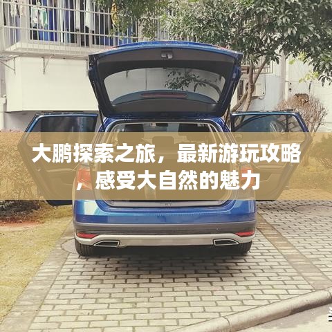 龙飞凤舞