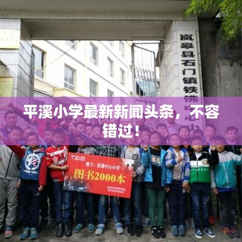 平溪小学最新新闻头条，不容错过！