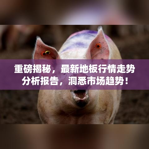 勇往直前