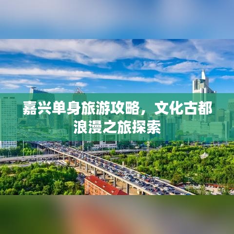 矢志不渝