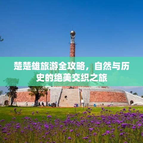 楚楚雄旅游全攻略，自然与历史的绝美交织之旅