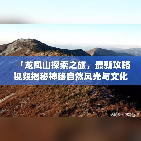 铁杵成针