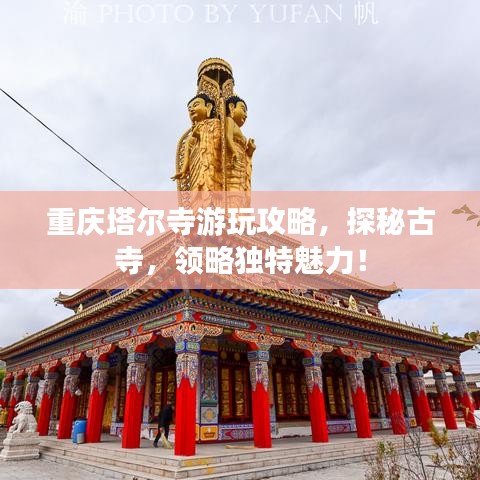 星星打烊