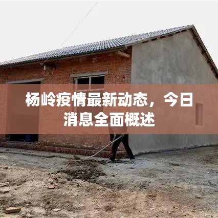 将计就计