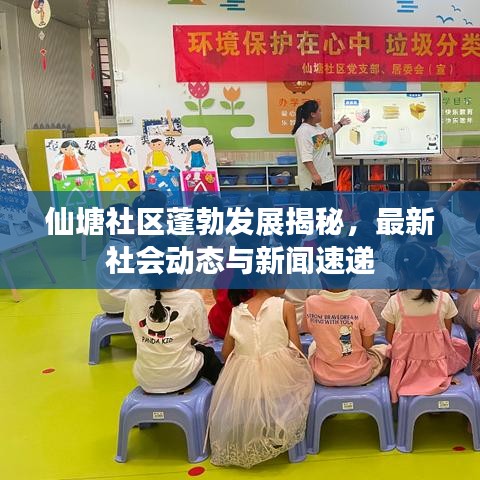 仙塘社区蓬勃发展揭秘，最新社会动态与新闻速递
