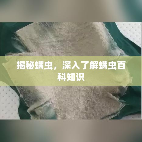 惊弦之鸟