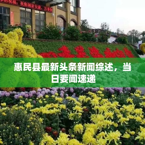 橘虞初梦